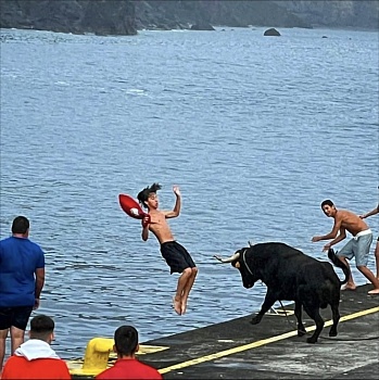 Rafael de Oliveira Pires Barradas Mascarenhas