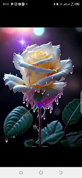 Charity omphemetse disang 